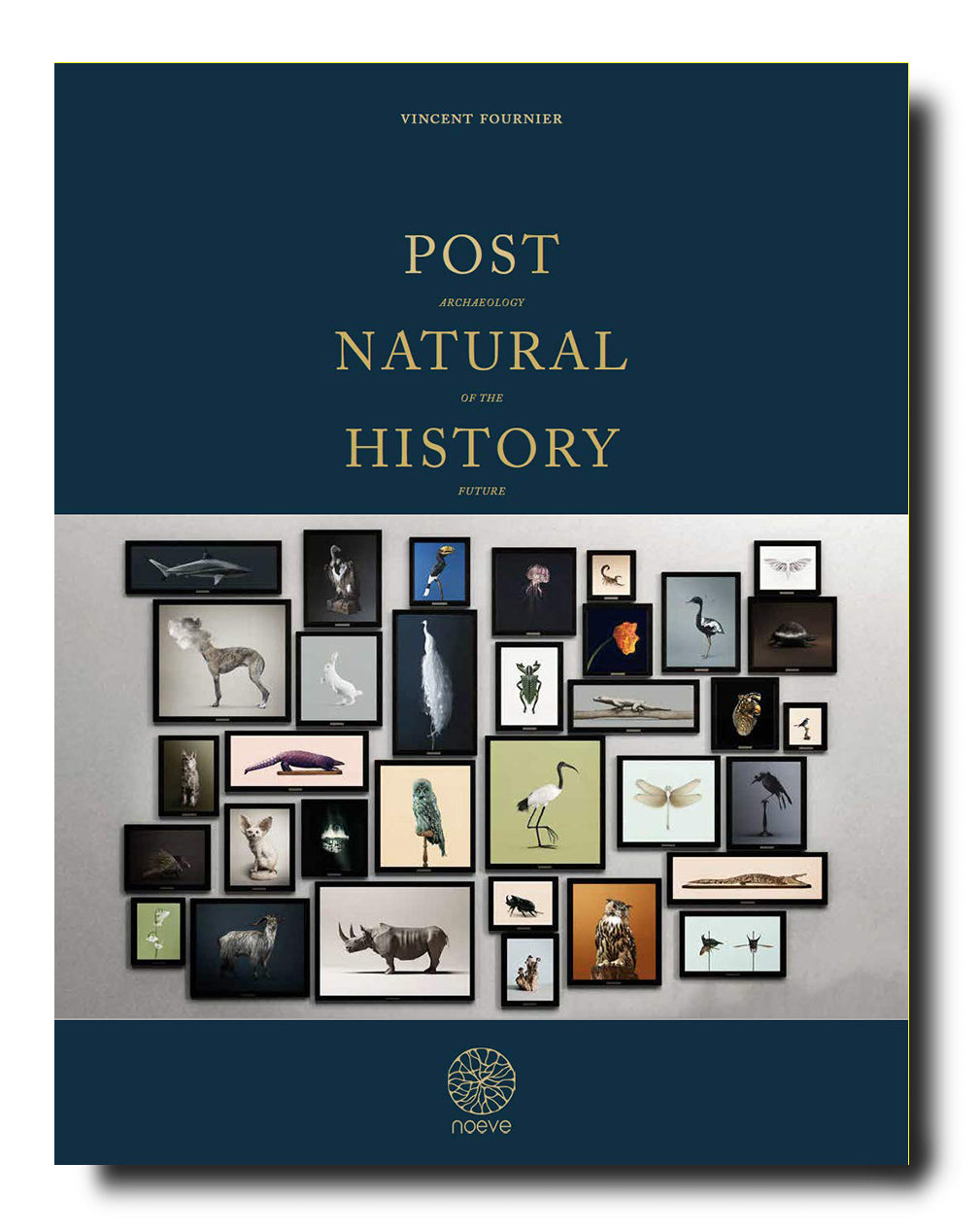 POST NATURAL HISTORY - Standard Edition
